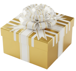 486e750b 2816 438c a743 13a557b7ff94 e1765946436981_tranformatoria_